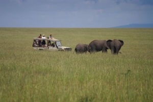 kenya masai mara naibor wilderness camp 13