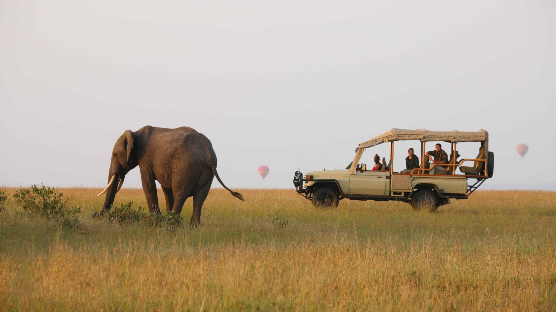 kenya masai mara naibor wilderness camp 2