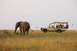 kenya masai mara naibor wilderness camp 2