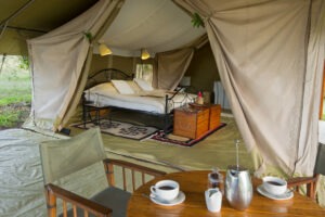 kenya masai mara naibor wilderness camp 5
