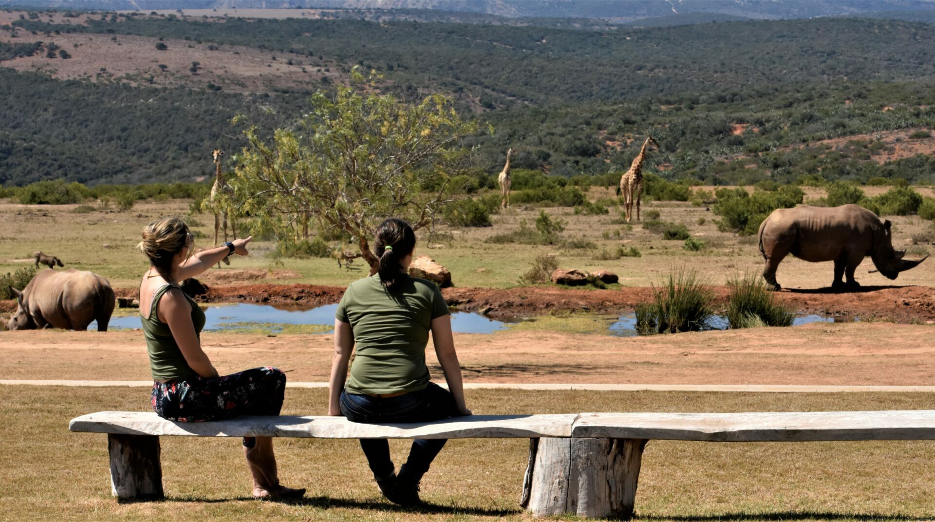south africa garden route mantis founders lodge28