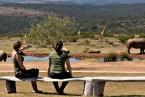 south africa garden route mantis founders lodge28