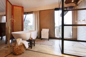 south africa timbavati private nature reserve thamabati luxury tented camp 29
