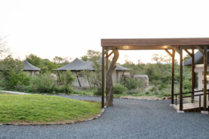 south africa timbavati private nature reserve thamabati luxury tented camp 37