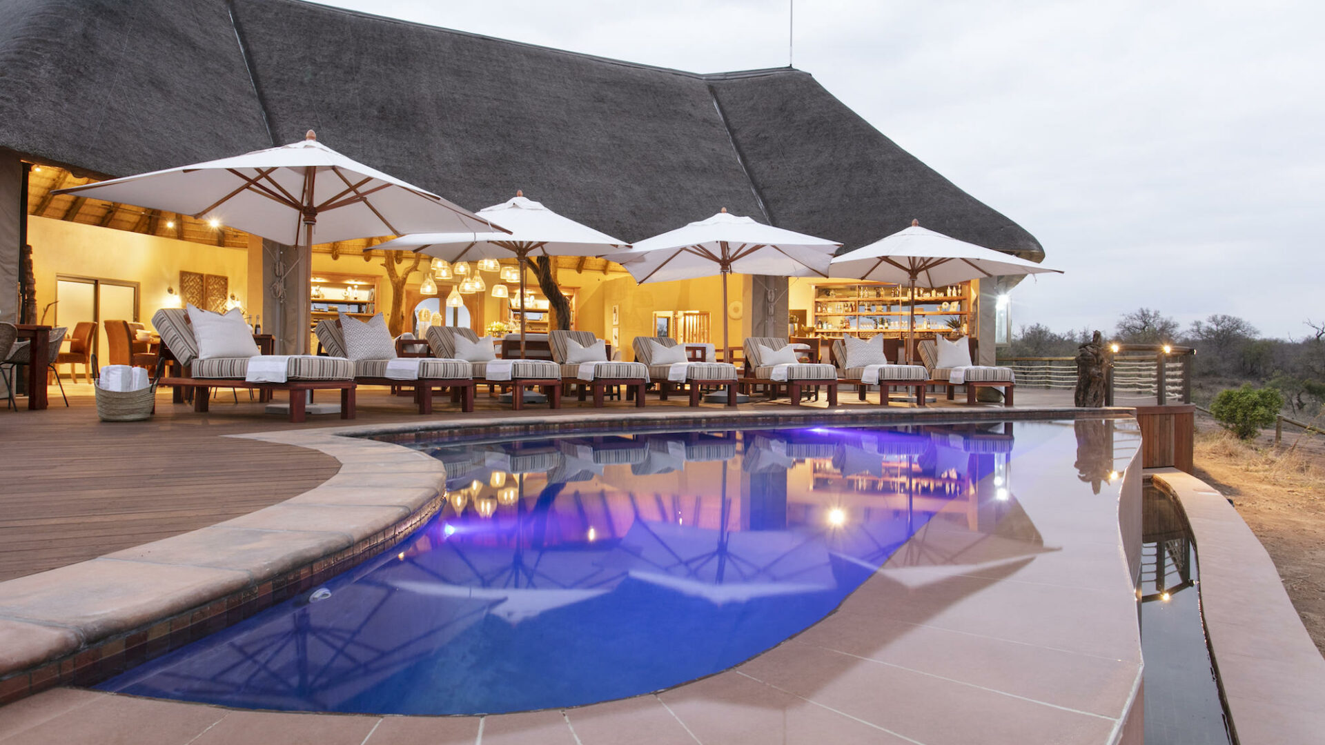 south africa timbavati private nature reserve thamabati luxury tented camp 40