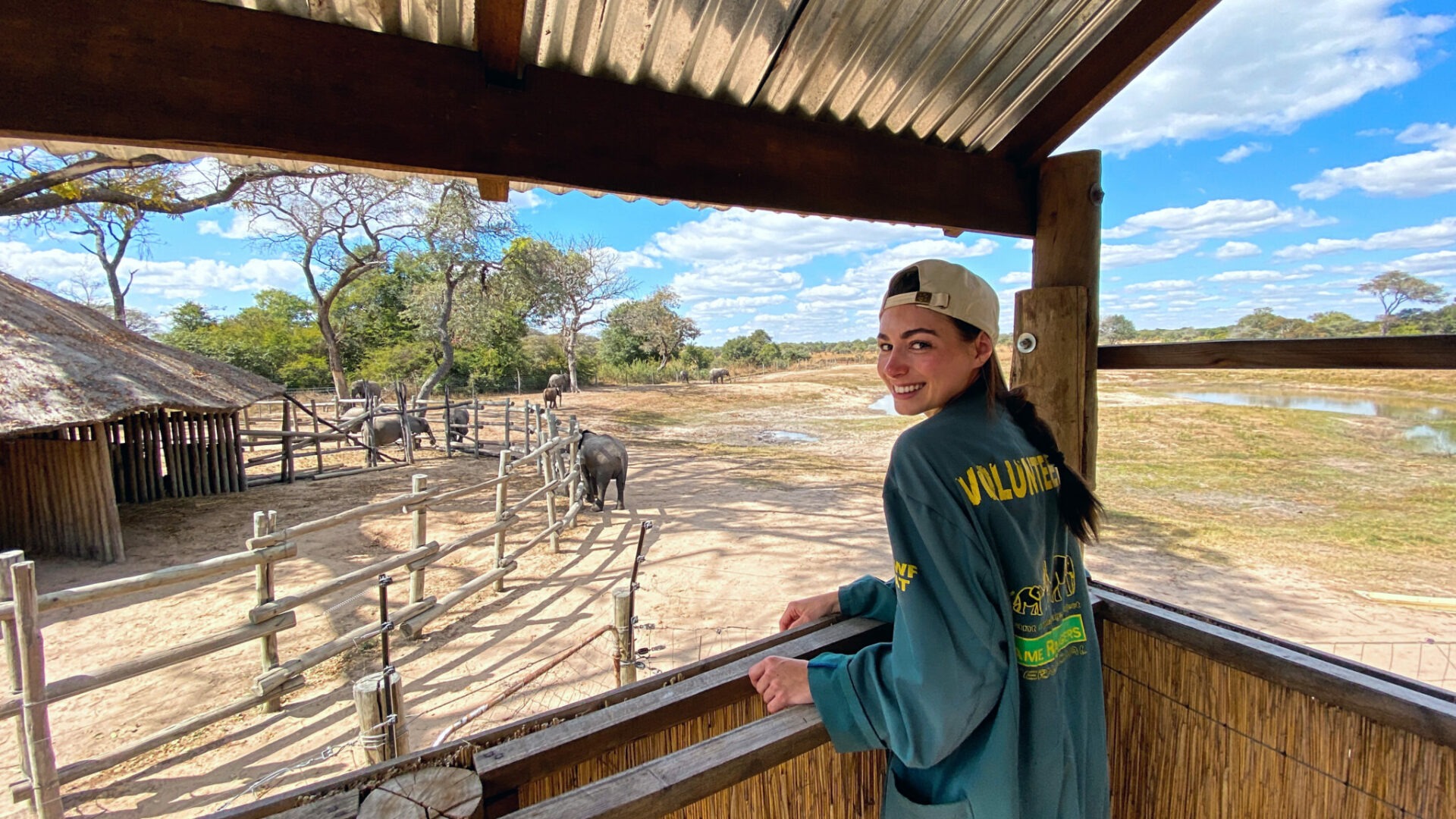 zambia volunteering project game rangers international kafue elephants holistic 26