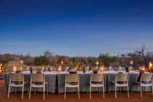 south africa kalahari madikwe safari lodge10