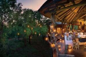south africa kalahari madikwe safari lodge15