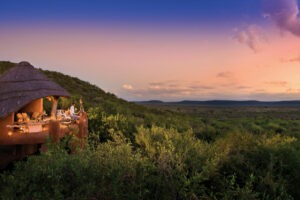 south africa kalahari madikwe safari lodge17