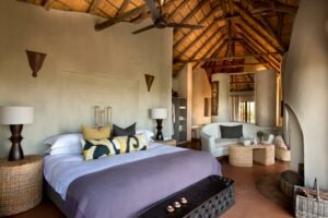 south africa kalahari madikwe safari lodge35