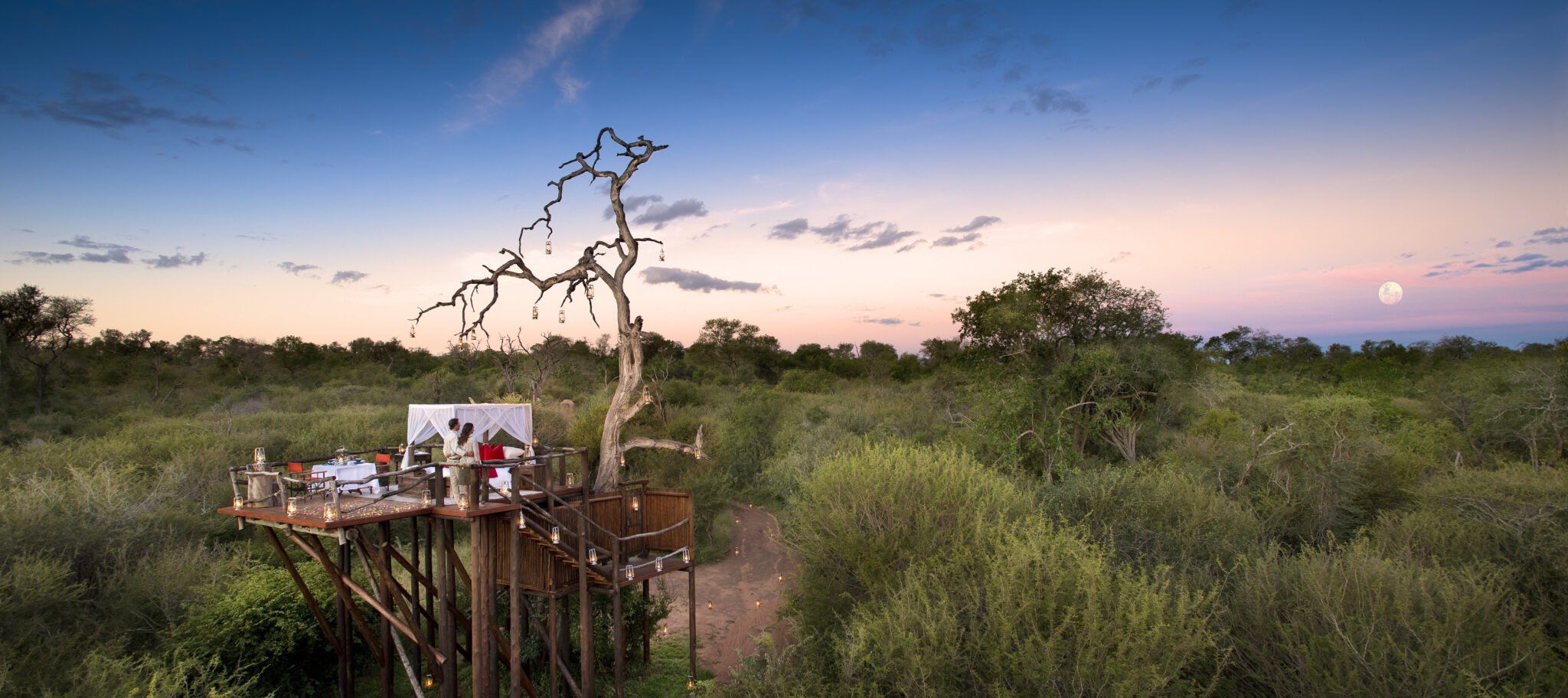 south africa sabi sands lion sands treehouse chalkley 2 south africa sabi sands lion sands treehouse chalkley 2