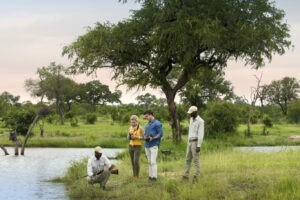 South Africa Southern Greater Kruger Cheetah Plains 1