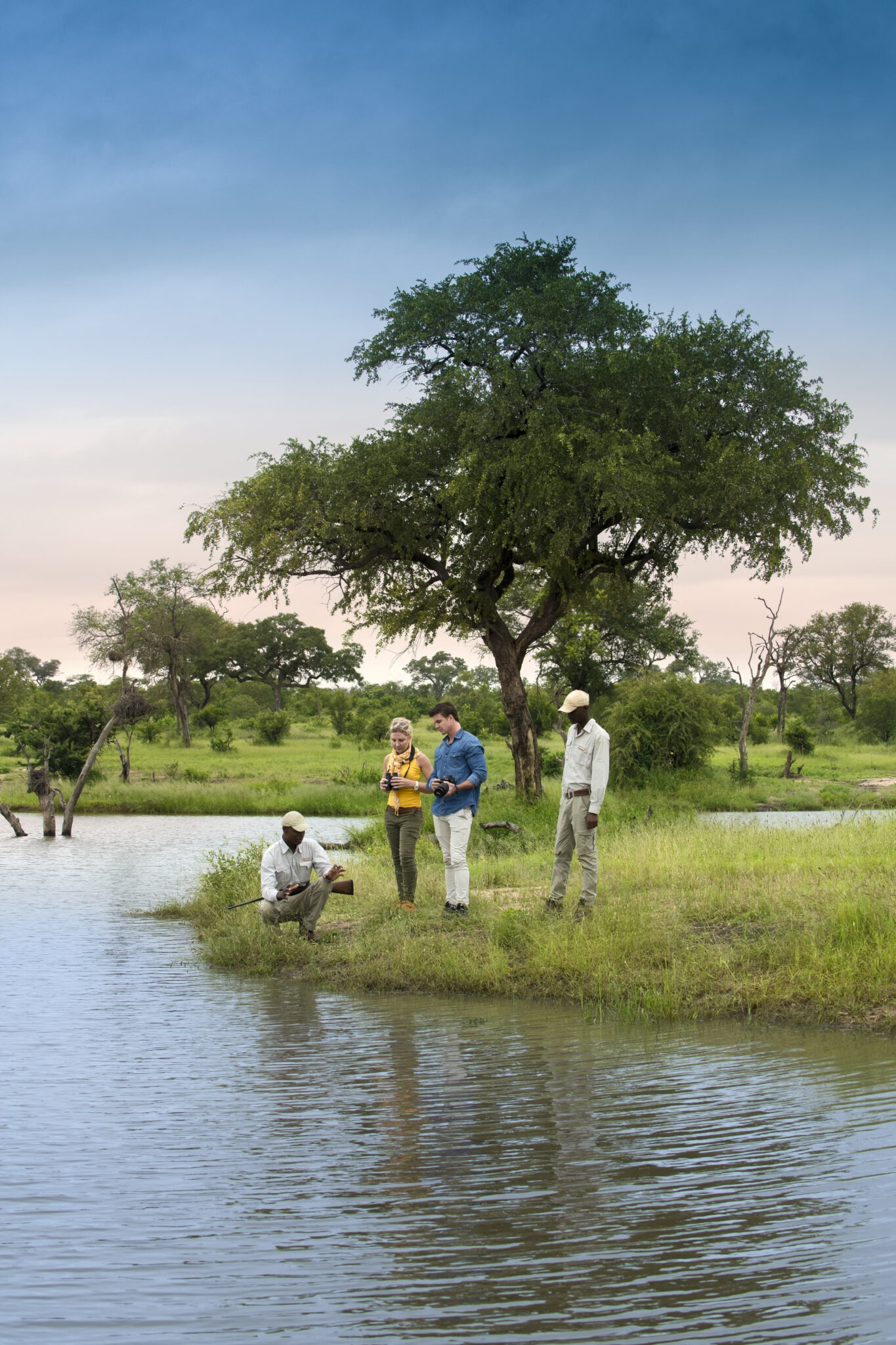 South Africa Southern Greater Kruger Cheetah Plains 1 South Africa Southern Greater Kruger Cheetah Plains 1