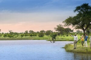 South Africa Southern Greater Kruger Cheetah Plains 18