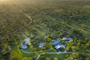 South Africa Southern Greater Kruger Cheetah Plains 3