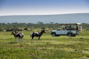 south africa whale coast morukuru ocean house 12