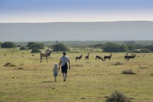 south africa whale coast morukuru ocean house 20
