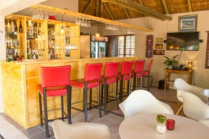 South Africa Johannesburg Safari Club SA 2