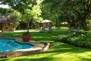 South Africa Johannesburg Safari Club SA 3