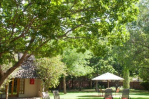 South Africa Johannesburg Safari Club SA 7