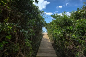 South Africa Northern KZN Thonga Beach Lodge 1