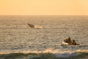 South Africa Northern KZN Thonga Beach Lodge 16