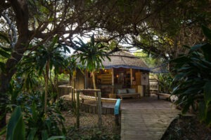 South Africa Northern KZN Thonga Beach Lodge 29