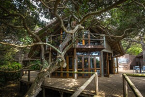 South Africa Northern KZN Thonga Beach Lodge 33