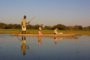 botswana okavango delta pom pom camp15