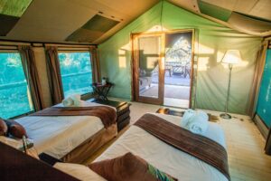 botswana okavango delta pom pom camp20