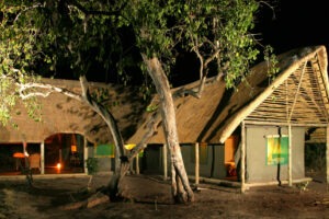 botswana okavango delta pom pom camp4