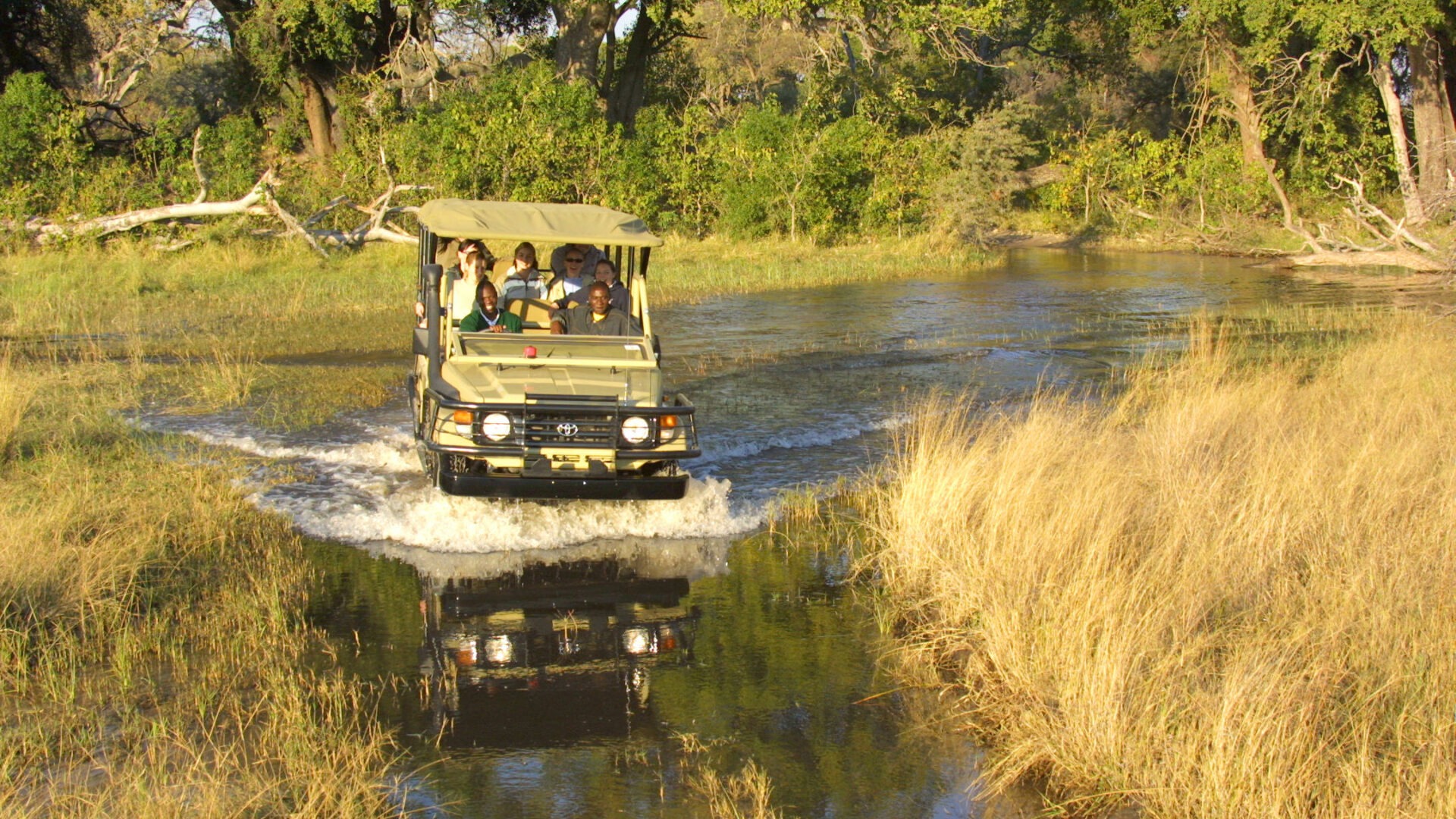 botswana okavango delta pom pom camp6