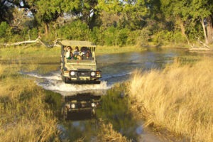 botswana okavango delta pom pom camp6