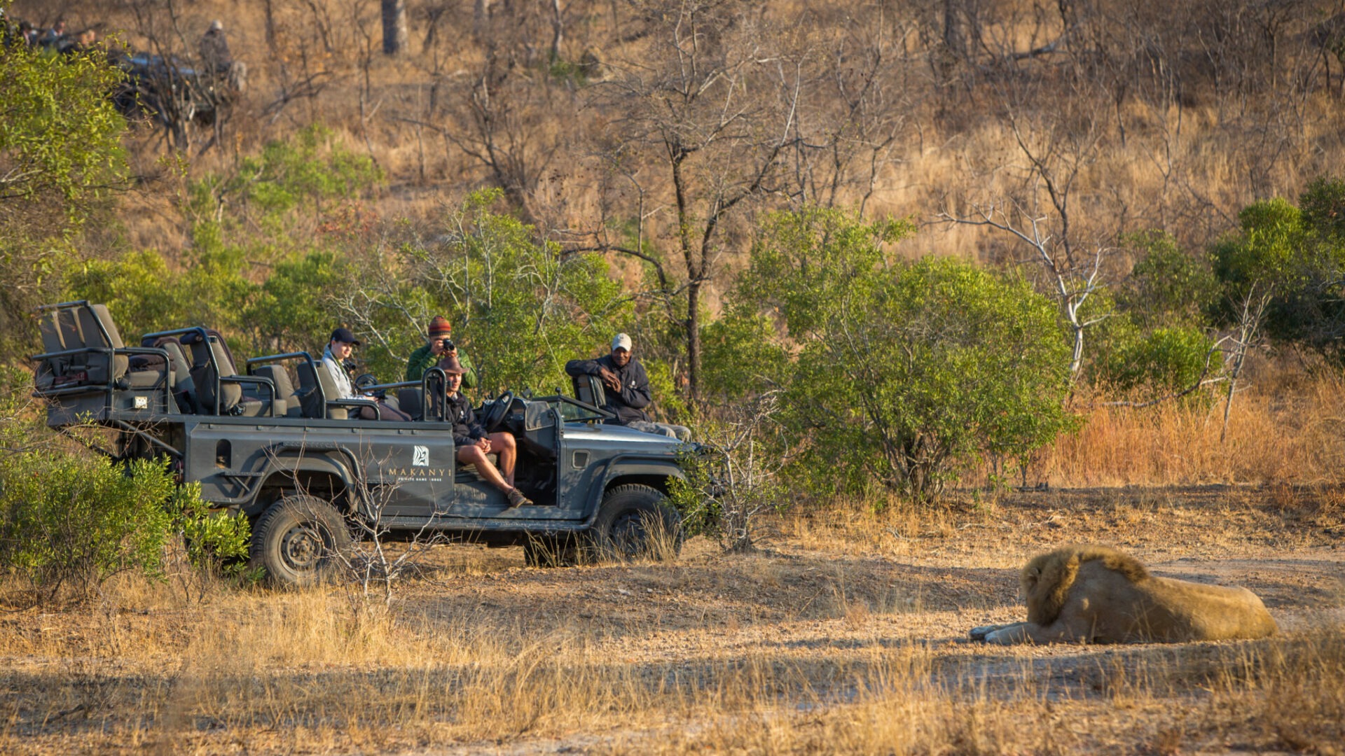 Makanyi Lodge animal encounters 4