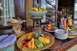 South Africa Makanyi Private Game Lodge (1)