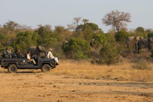 South Africa Makanyi Private Game Lodge (10)