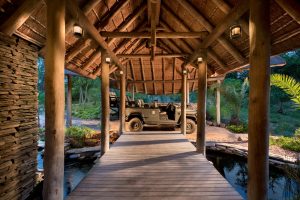 South Africa Makanyi Private Game Lodge (19)