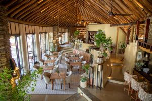 South Africa Makanyi Private Game Lodge (31)