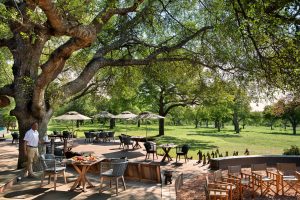 South Africa Makanyi Private Game Lodge (35)