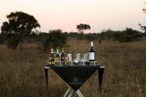 South Africa Makanyi Private Game Lodge (42)