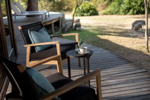 South Africa Makanyi Private Game Lodge (46)