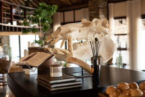 South Africa Makanyi Private Game Lodge (6)
