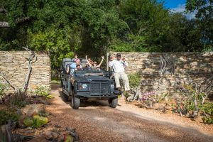 South Africa Makanyi Private Game Lodge (8)