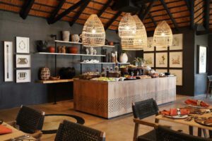 south africa mala mala game reserve mala mala camp5