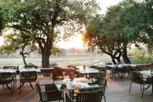 south africa mala mala game reserve mala mala camp6 1