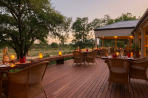 south africa mala mala game reserve mala mala rattrays camp15