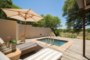 south africa mala mala game reserve mala mala rattrays camp16
