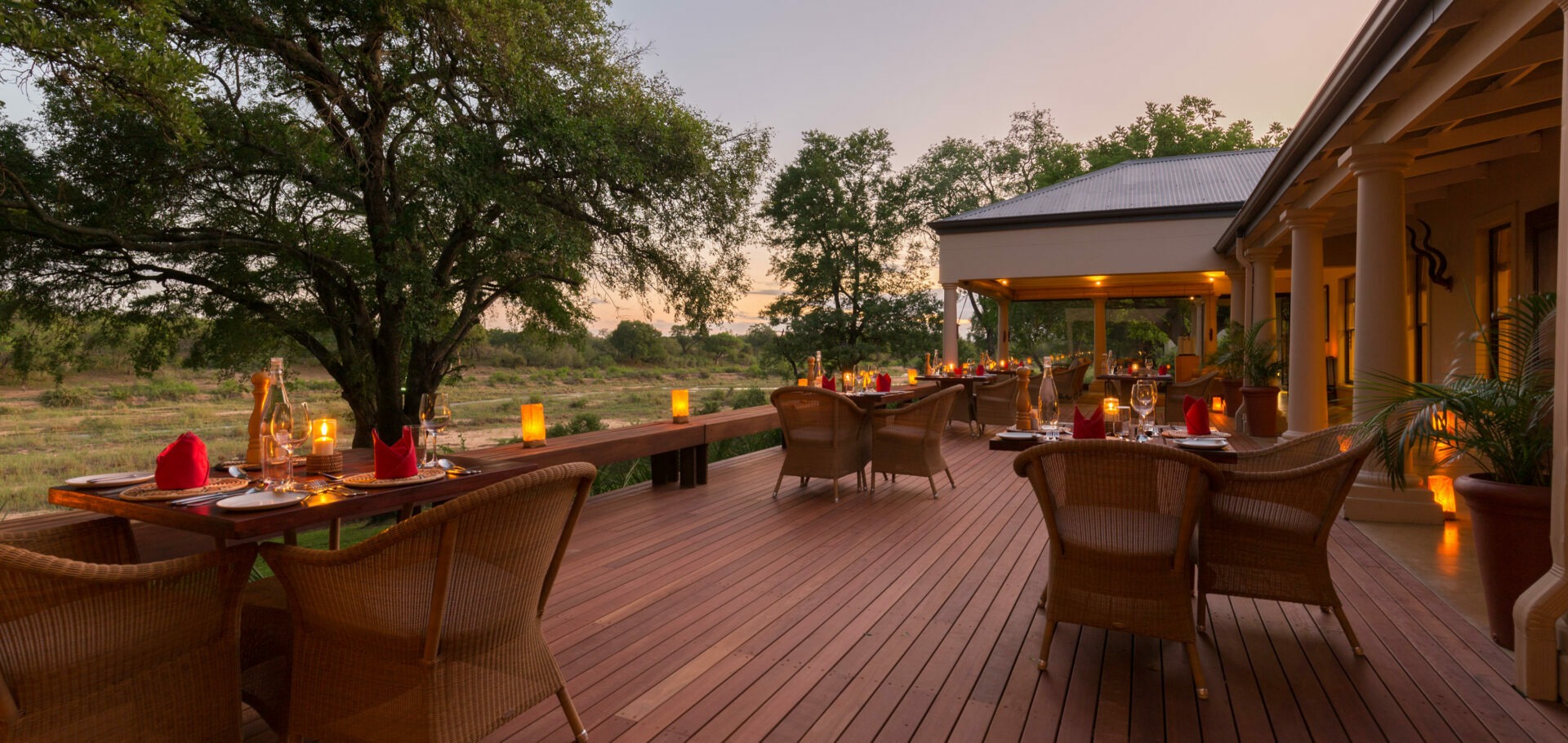 south africa mala mala game reserve mala mala rattrays camp31