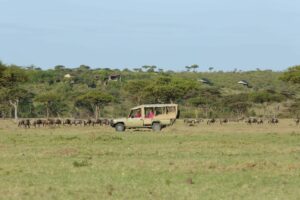 kenya masai mara eagle view camp1