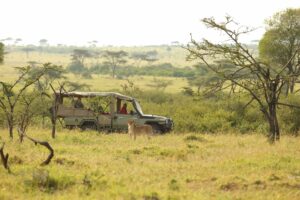 kenya masai mara eagle view camp18